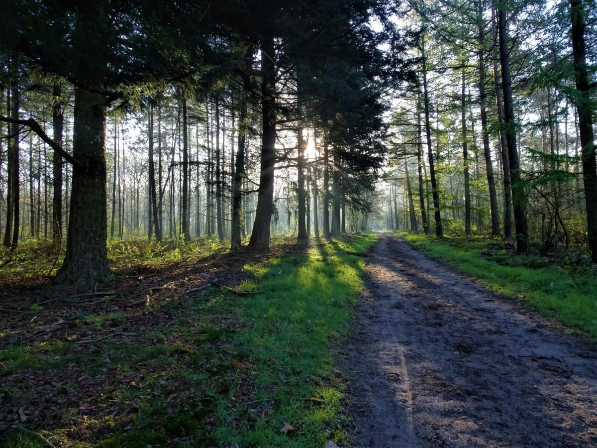 Veluwe Park Reewold Chalet Talisman Putten Bagian luar foto