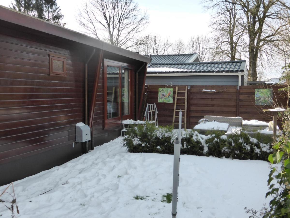 Veluwe Park Reewold Chalet Talisman Putten Bagian luar foto